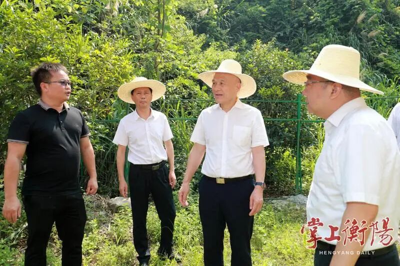 640 - 2026-02-05T172613.465.jpg