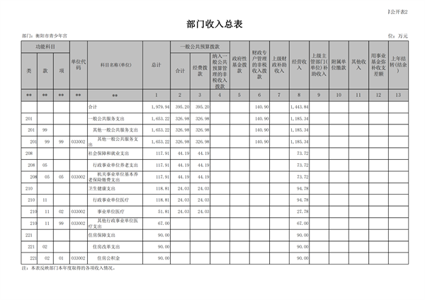 附件2 衡阳市青少年宫部门预算公开说明_13.png